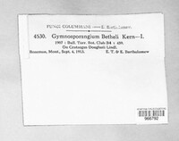 Image Associated With the Occurence